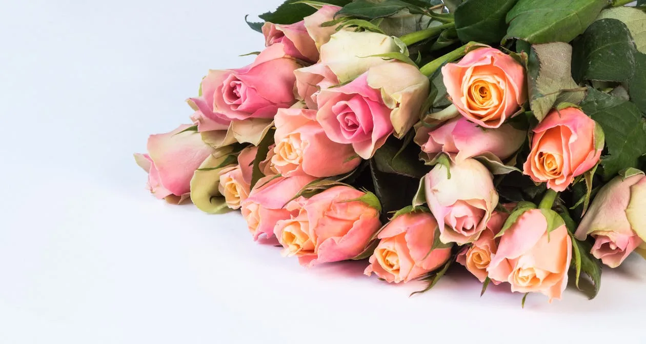 Soft pink roses bouquet — tender and elegant for Mother's Day