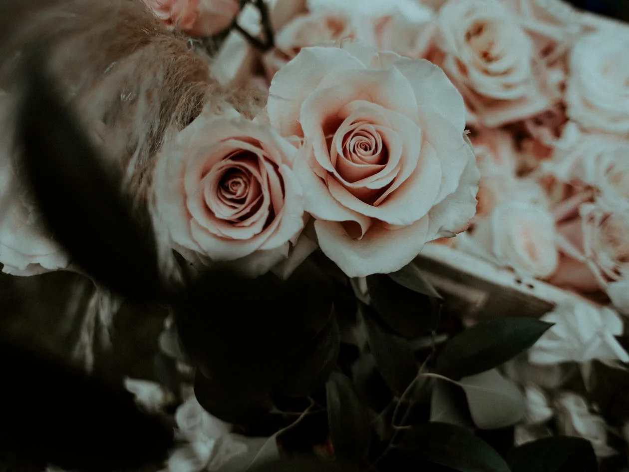 A tender bouquet of soft light pink roses in full bloom
