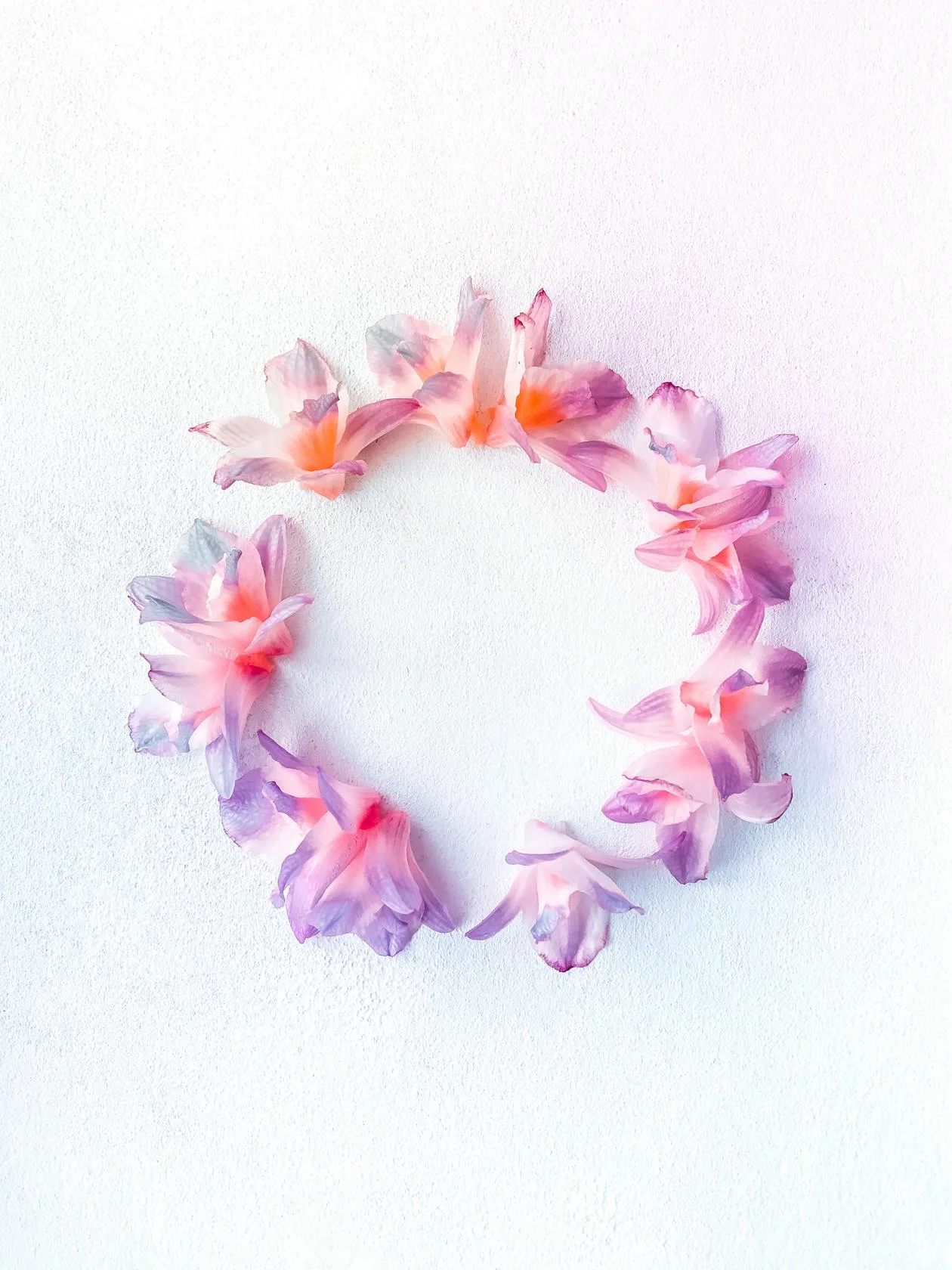 A circular wreath of colourful flowers arranged in a vibrant display